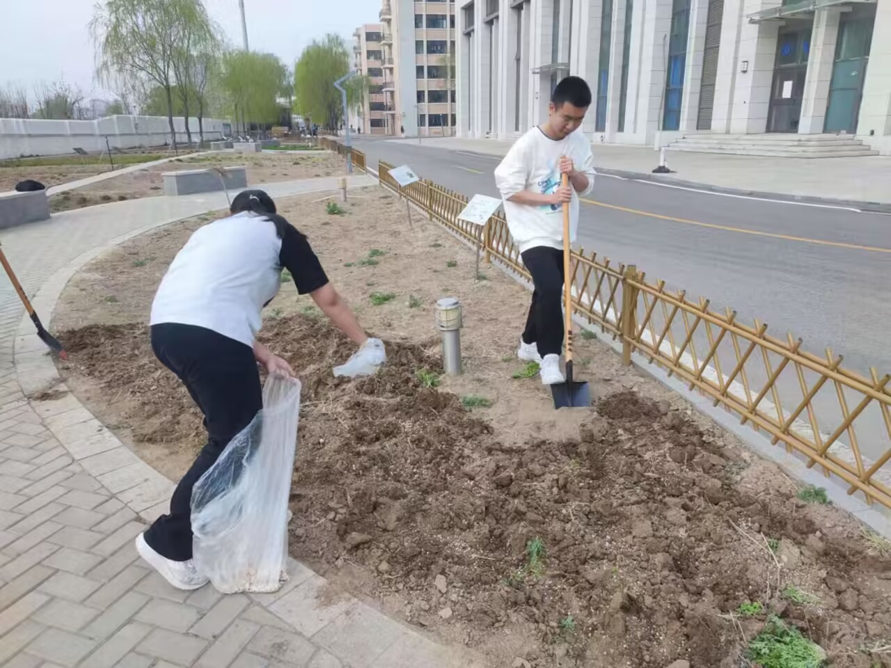 刨地.jpg
